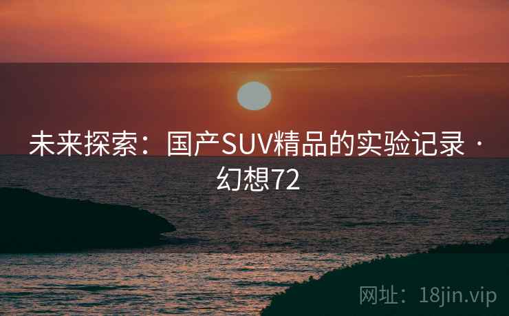 未来探索：国产SUV精品的实验记录 · 幻想72  第2张
